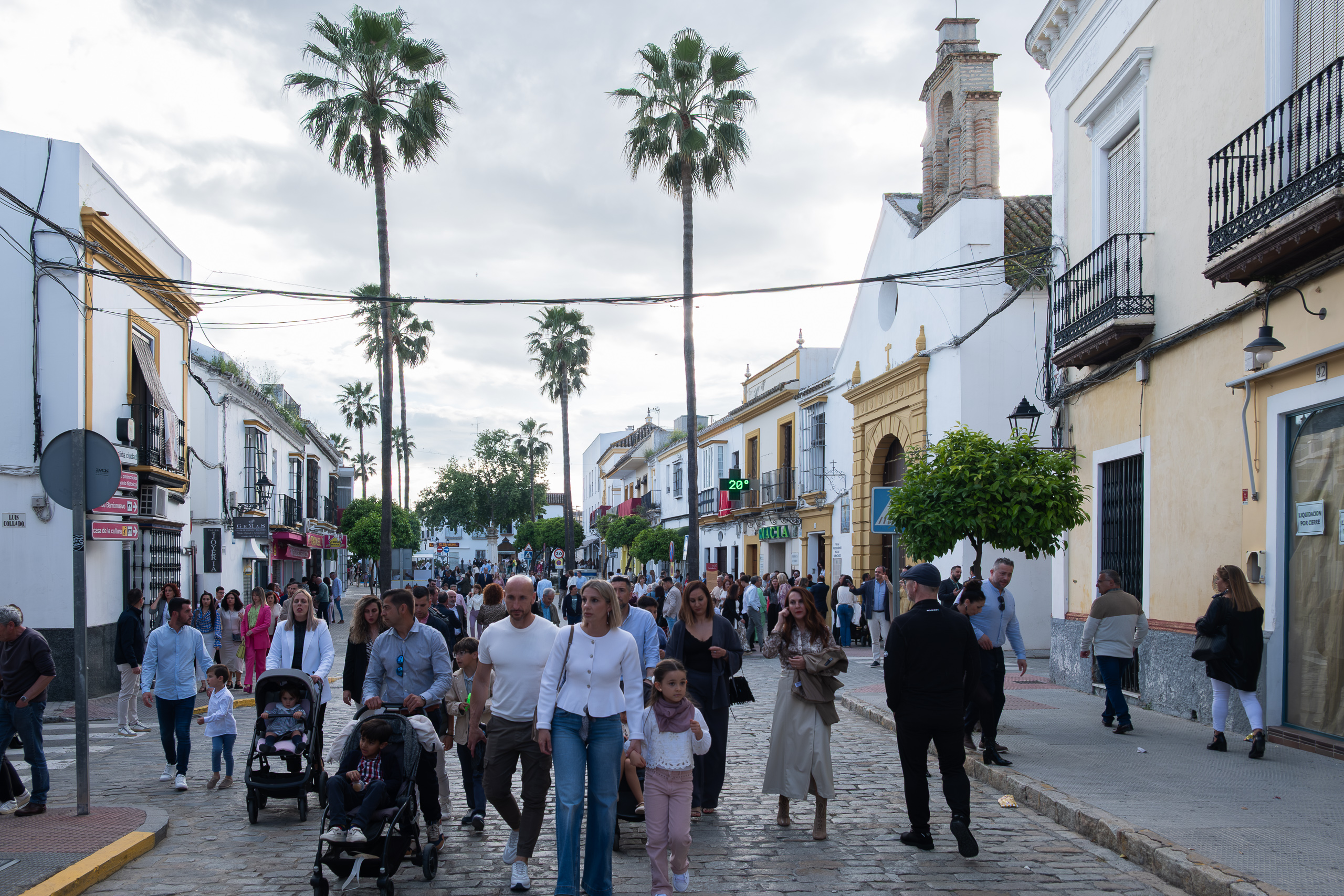 Belebte Fußgängerzone mit Palmen – alle flanieren
